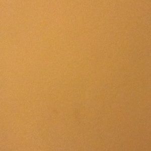 Meet your Posher, Brendan